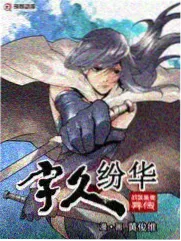 第七个证人小说封面